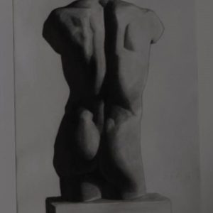 Estudio espalda masculina