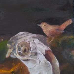 Cráneo de oveja y chercán