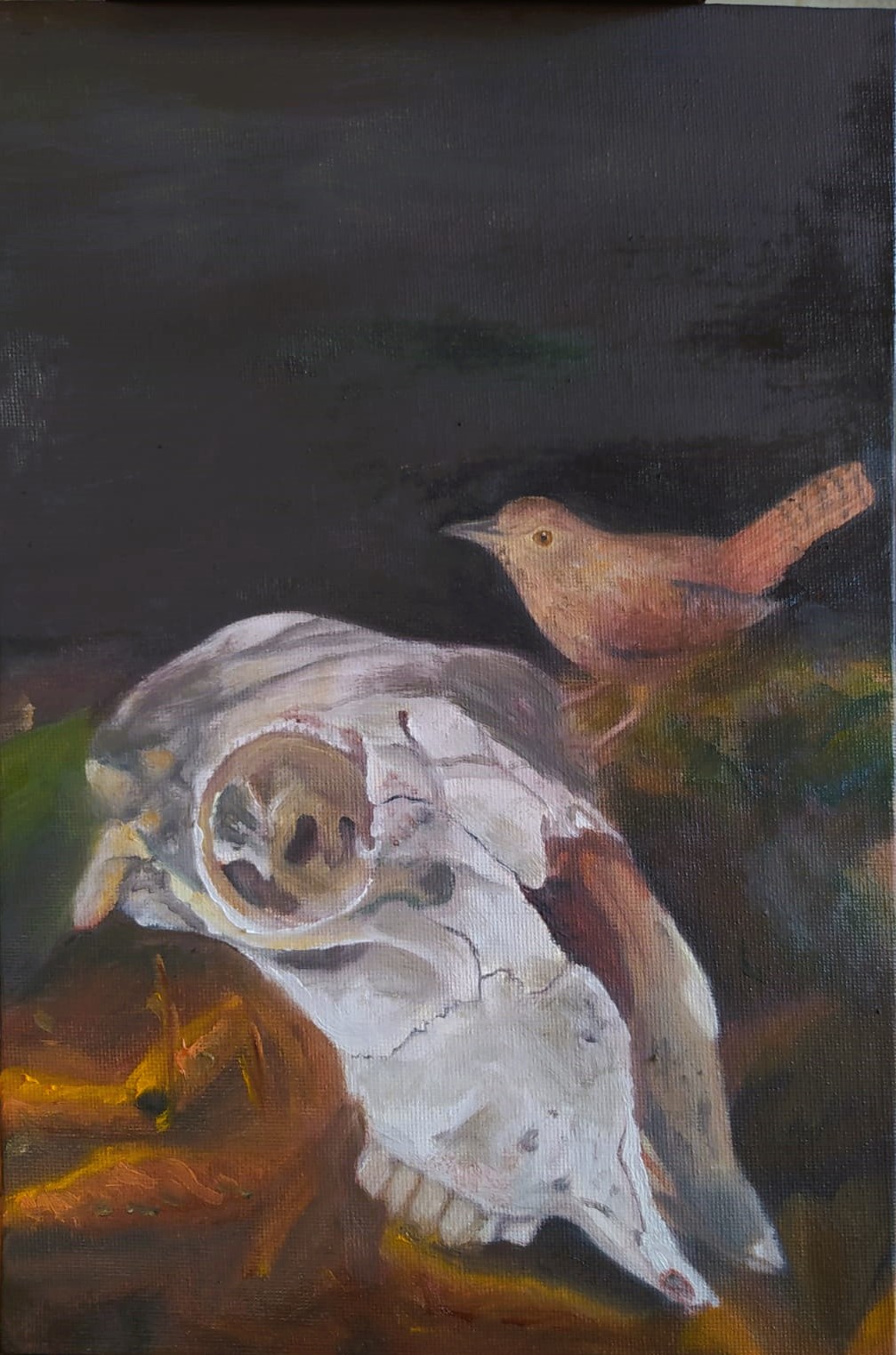 Cráneo de oveja y chercán