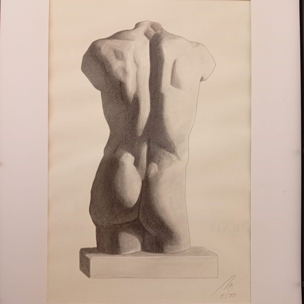 Estudio 05/50 Espalda masculina